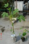 DSC08818.jpg