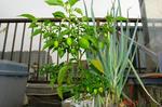 DSC08911.jpg
