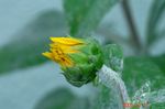 DSC08964.jpg