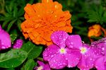 DSC08984.jpg