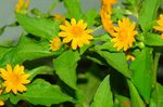DSC08989.jpg