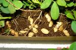 DSC09204.jpg
