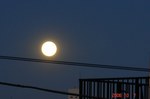 DSC09267.jpg