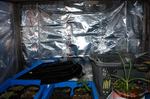 DSC09714.jpg