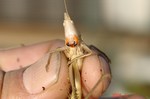 DSC09776.jpg