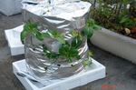 DSC09850.jpg