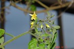 DSC09857.jpg