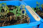 DSC09858.jpg