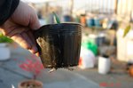 DSC09956.jpg