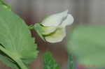 DSC100002.jpg