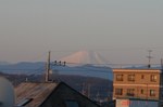 DSC100045.jpg