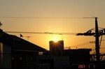 DSC100046.jpg