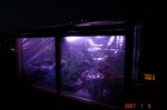 DSC100102.jpg