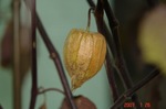 DSC100232.jpg
