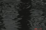 水紋2