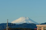 富士山11/19。クリックして大きくしてくださいね。r1