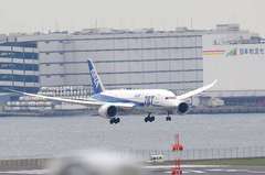 ANAのB−787