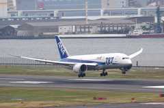 ANAのB−787