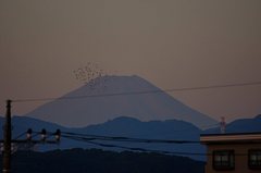 夜明け前の富士山11'10/27。α55 SLT-A55VY 70-300mm F4.5-5.6 G SSM SAL70300G。クリックすると大きくなります。